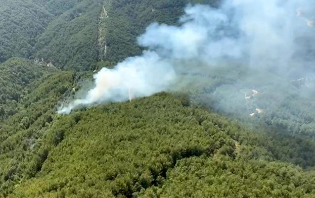 antalyanin-uc-ayri-hissesinde-mese-yangini
