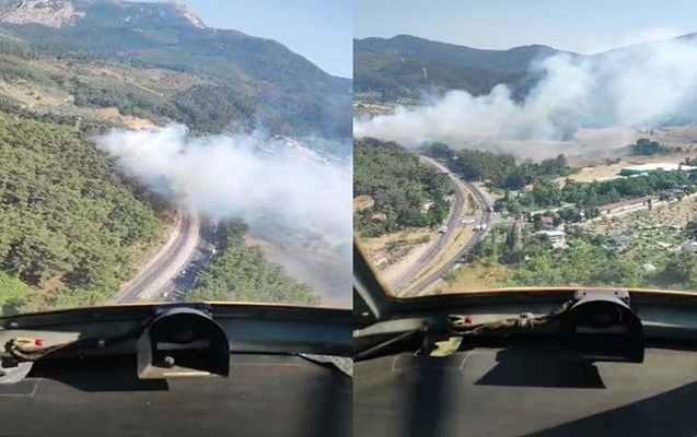 turkiyede-mese-yangini