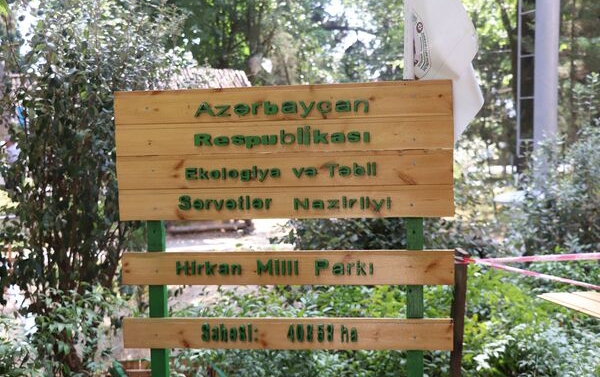 hirkan-milli-parkinda-yangin-olub