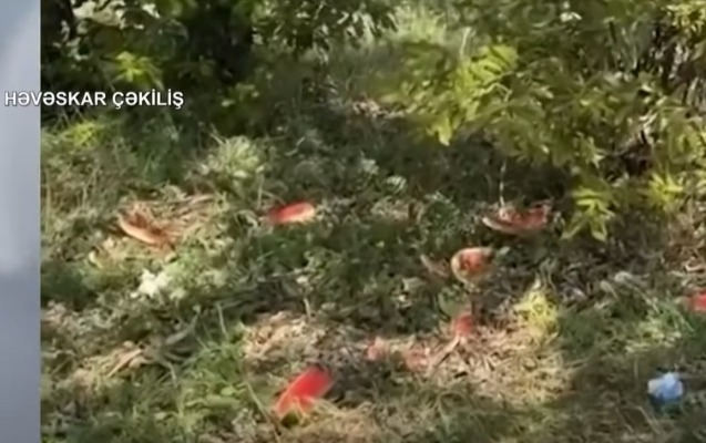 azad-edilmis-erazileri-cirklendirenlere-cagiris