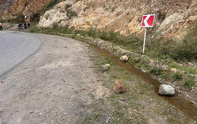 susa-lacin-yolunda-zibiller-temizlendi