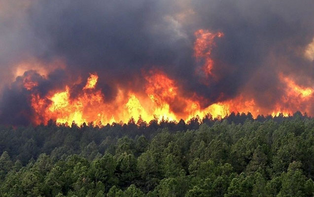 azerbaycanda-yangina-hessas-bolgeler