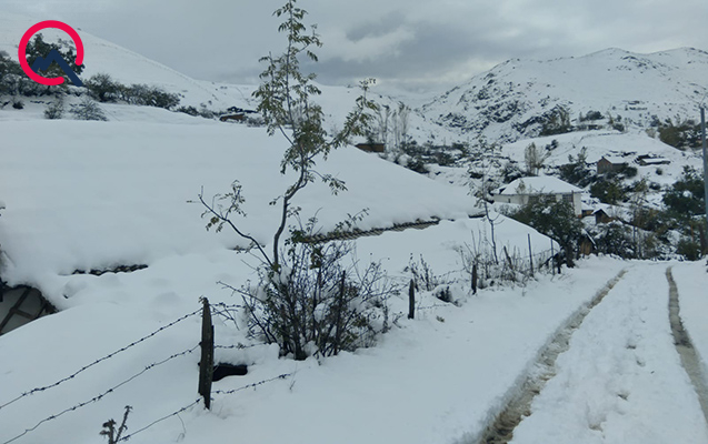 Lerikə 17 sm qar yağıb