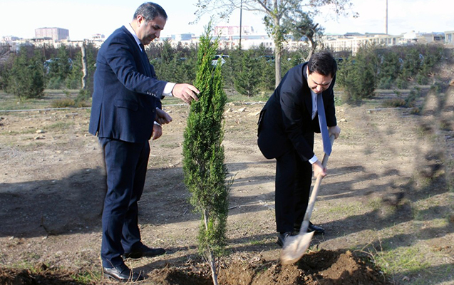 baau-agacekme-aksiyasi-kecirdi