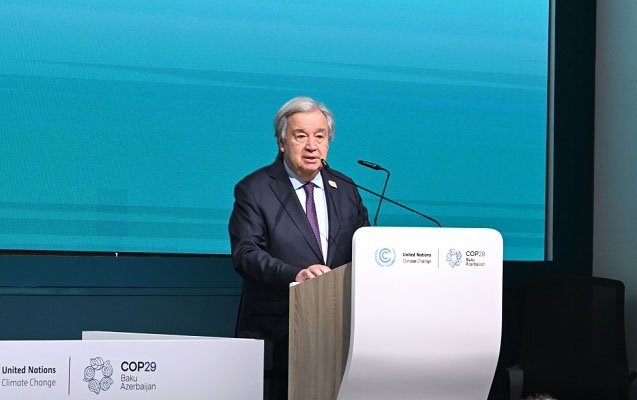 cop29-g20