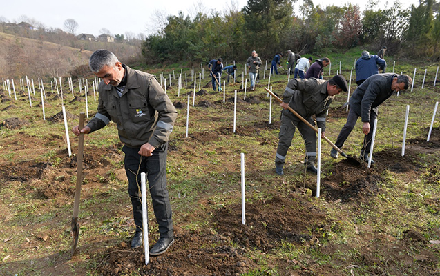 bir-gunde-21-minden-cox-agac-ekildi