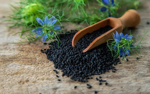 qara-zirenin-saglamliga-faydalari