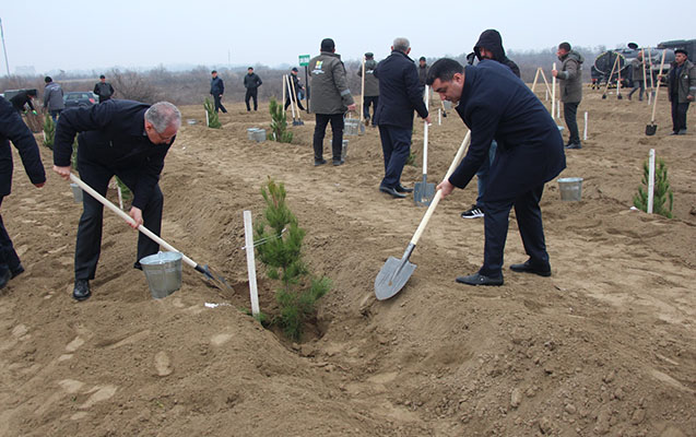 olke-erazisinde-meseberpa-tedbirleri-davam-edir