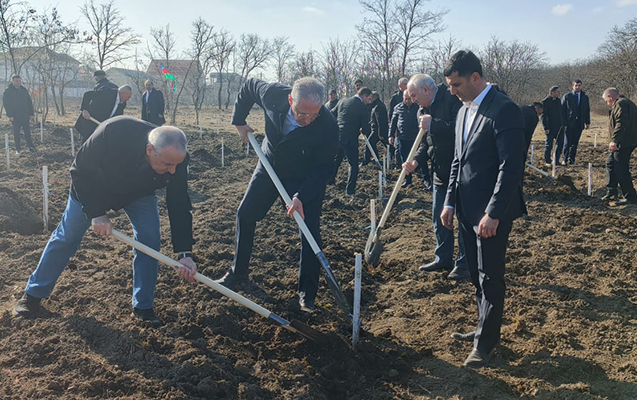 simal-bolgesinde-bir-gunde-8-min-agac-ekilib