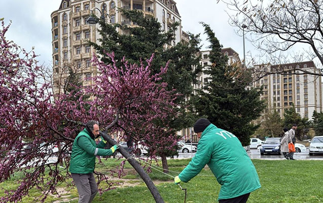seher-kommunal-xidmetleri-xususi-guclendirilmis-is-rejiminde-calisirlar