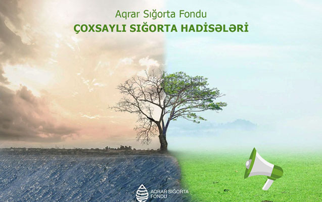 hava-seraiti-fermerlere-de-ziyan-vurub