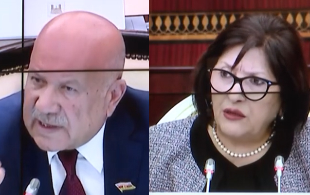 sahibe-qafarova-deputatin-bu-cixisina-etiraz-etdi