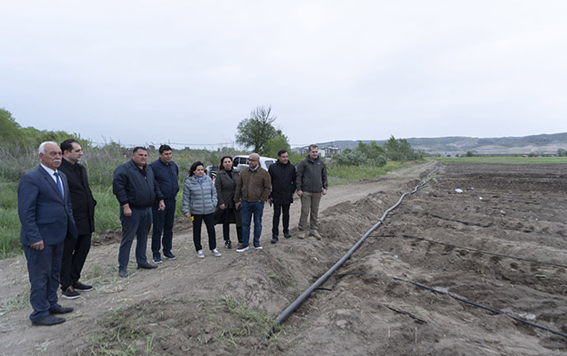 agalilara-ekin-ucun-torpaqlar-verilmesine-baslanilir