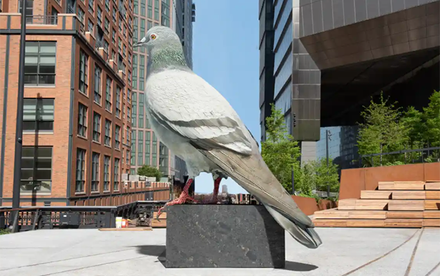 kuce-goyercinlerinin-serefine-festival-kecirecekler