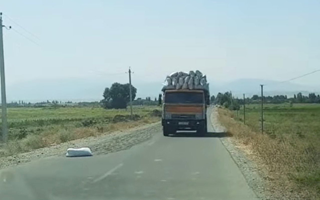 Yola günəbaxan tumları yığdı, məsuliyyətə cəlb edildi