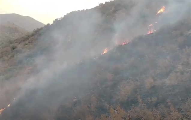 agderede-dagliq-erazide-yangin-olub