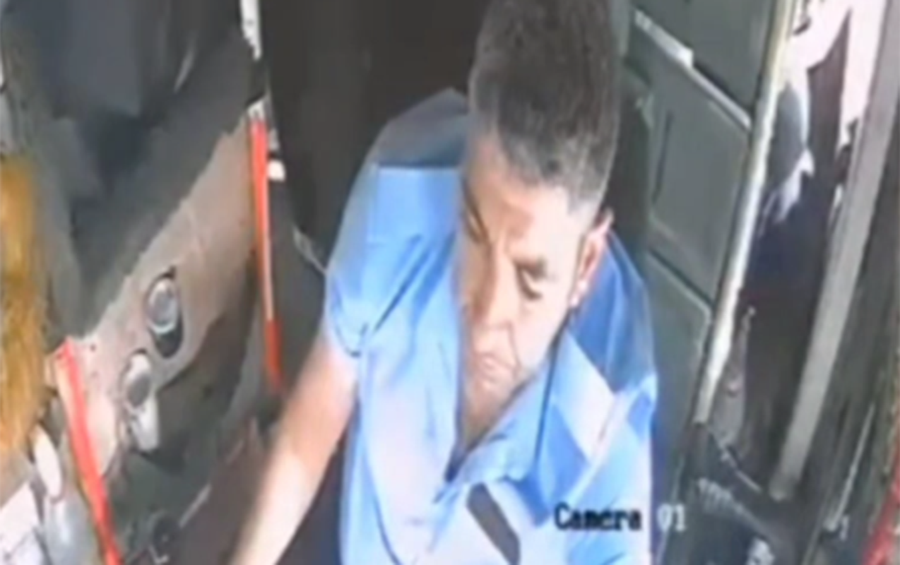 Yaxshi parvarishlangan mushuklarning fotosuratlari