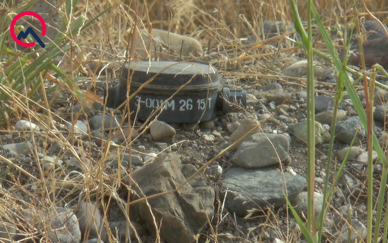 Goranboyda heyvanlar minaya düşdü