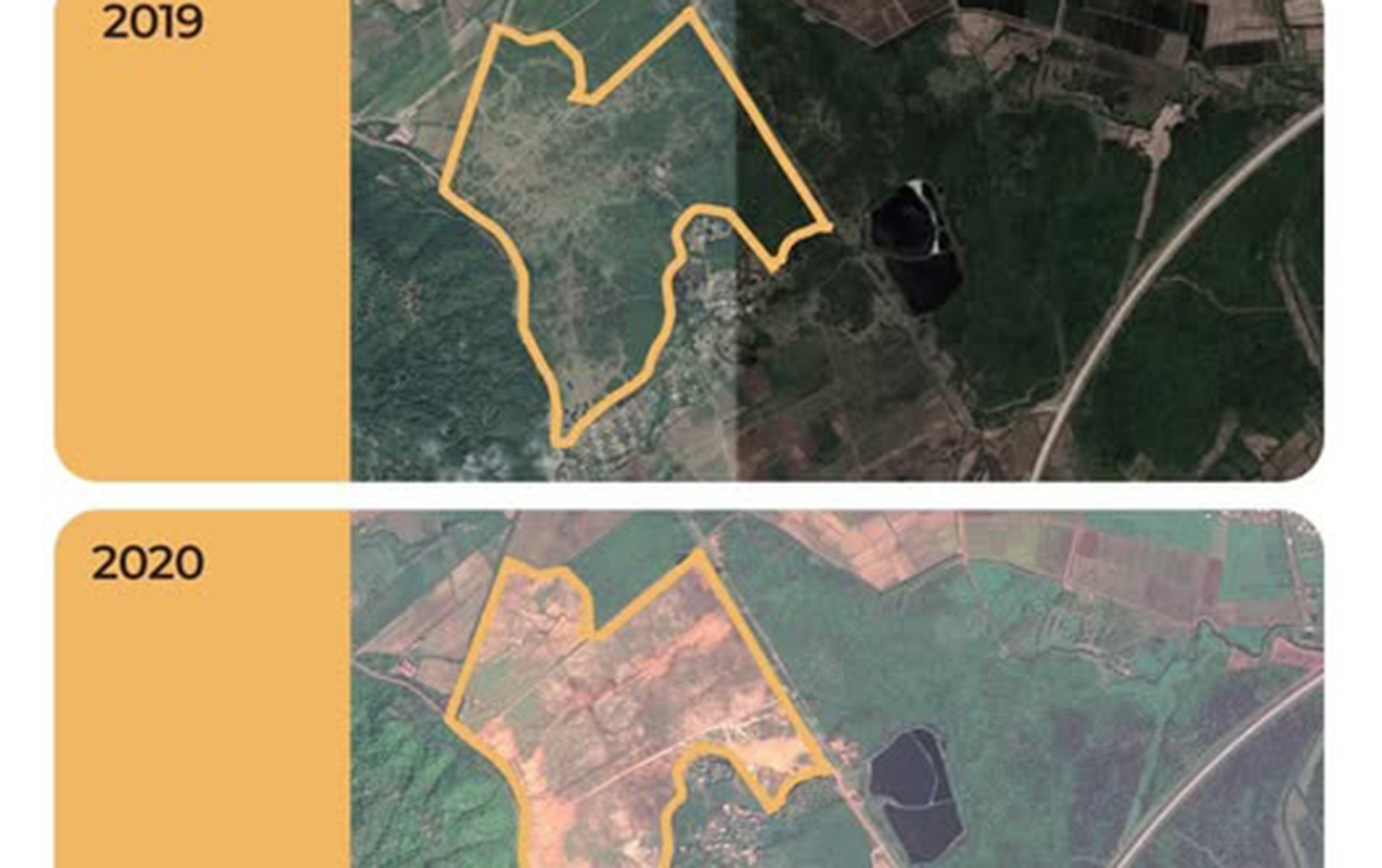 asfalt-raqib-mehkemeni-uduzdu