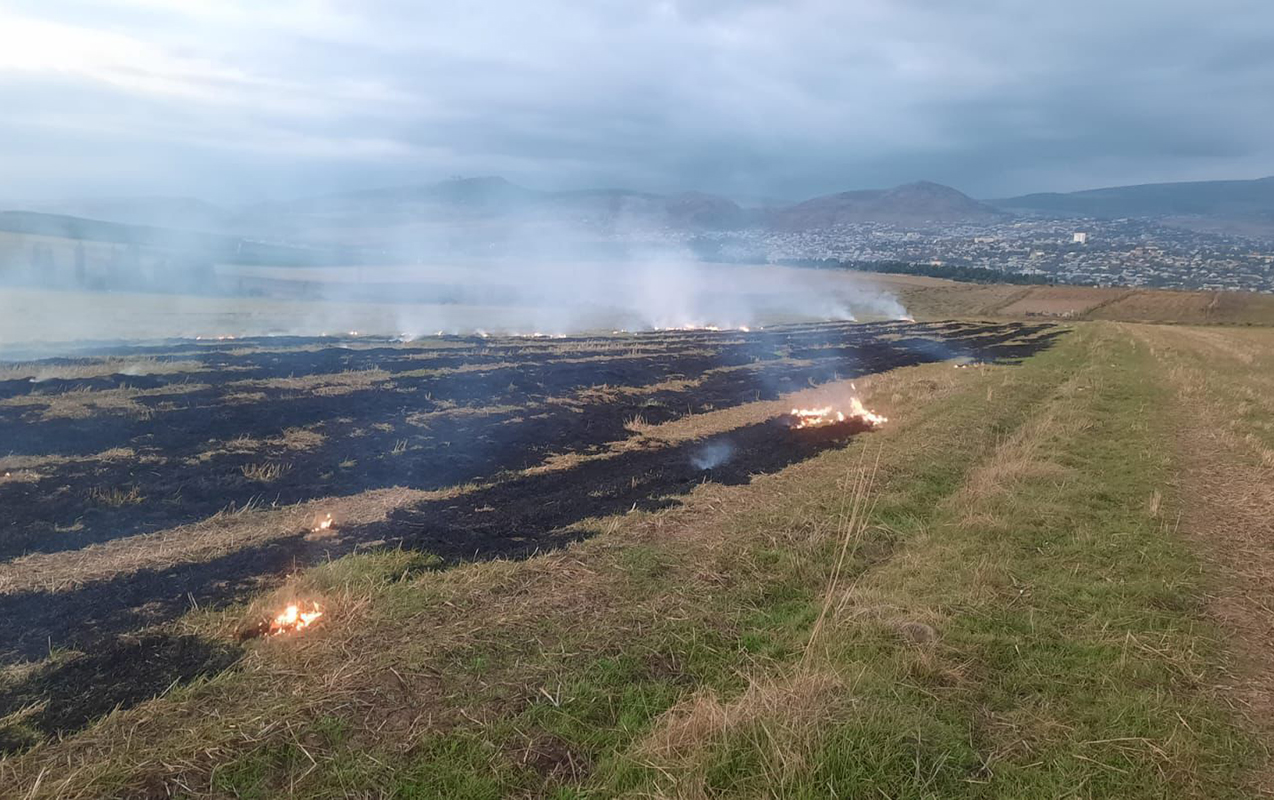 Törətdiyi əməllə 1 hektar əkin sahəsi yandı  - Foto  