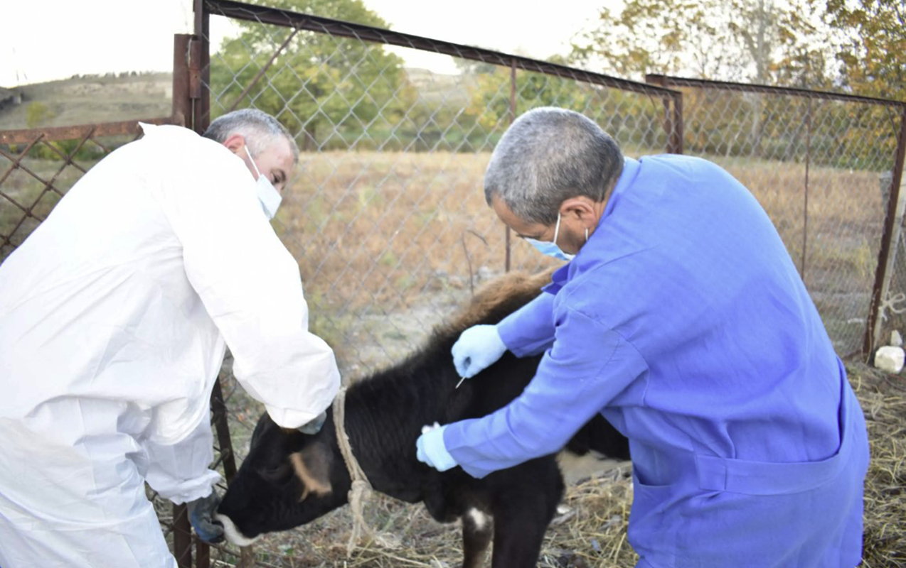 et-alarken-bunlara-diqqet-edin