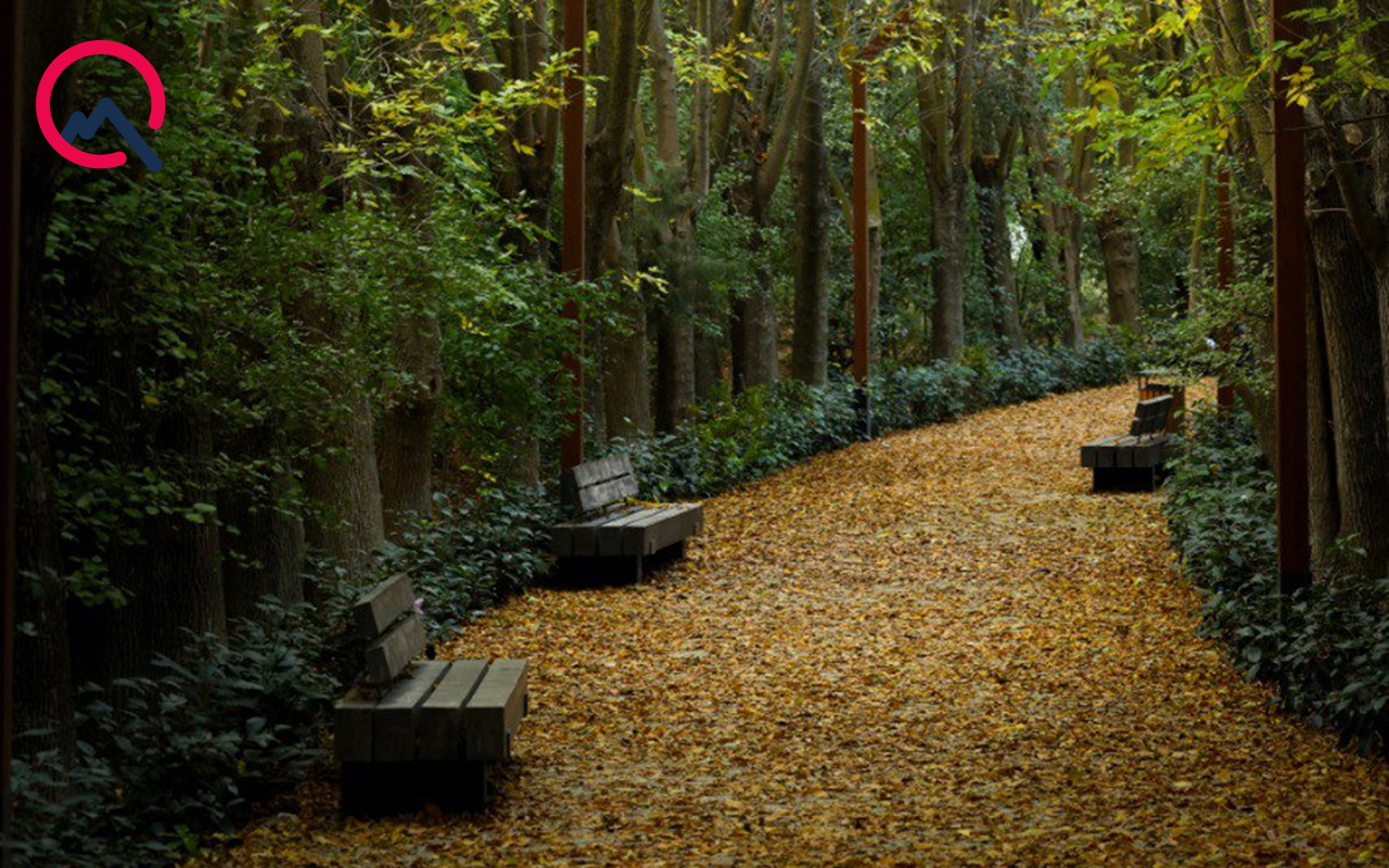 Sabah hava necə olacaq?