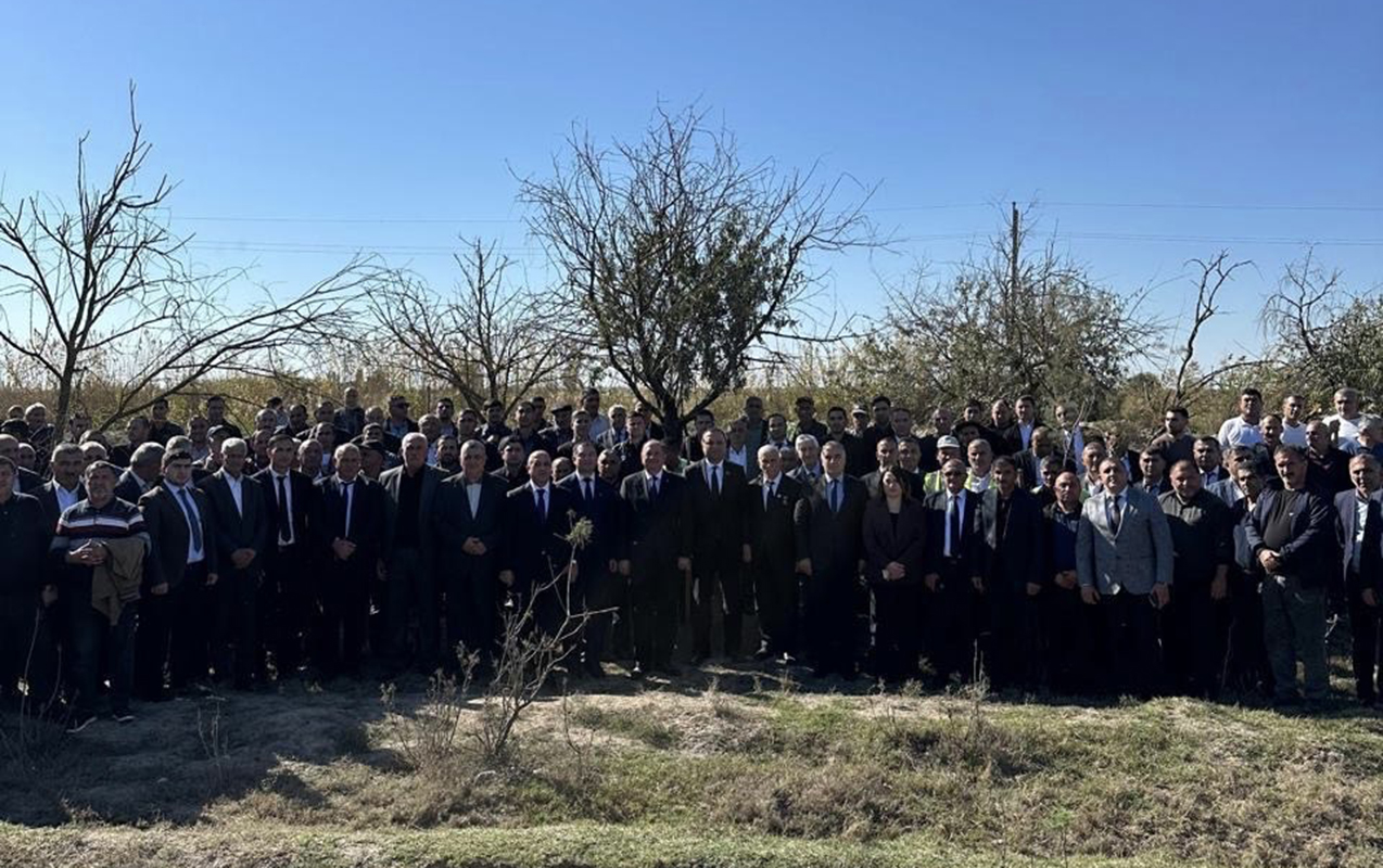 Beyləqanda ağacəkmə aksiyası  - Fotolar  