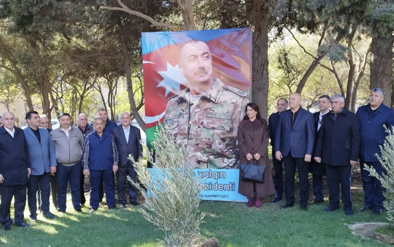 Nəsimidə növbəti ağacəkmə aksiyası