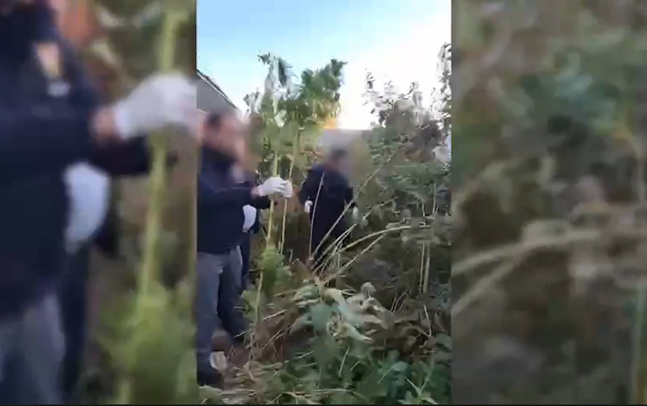 Naxçıvan polisi əməliyyat keçirdi  - Narkotiklə saxlanıldılar - Foto+Video  