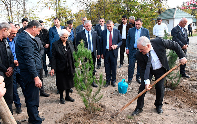 Ağdamda ağacəkmə aksiyası keçirildi  - Fotolar  