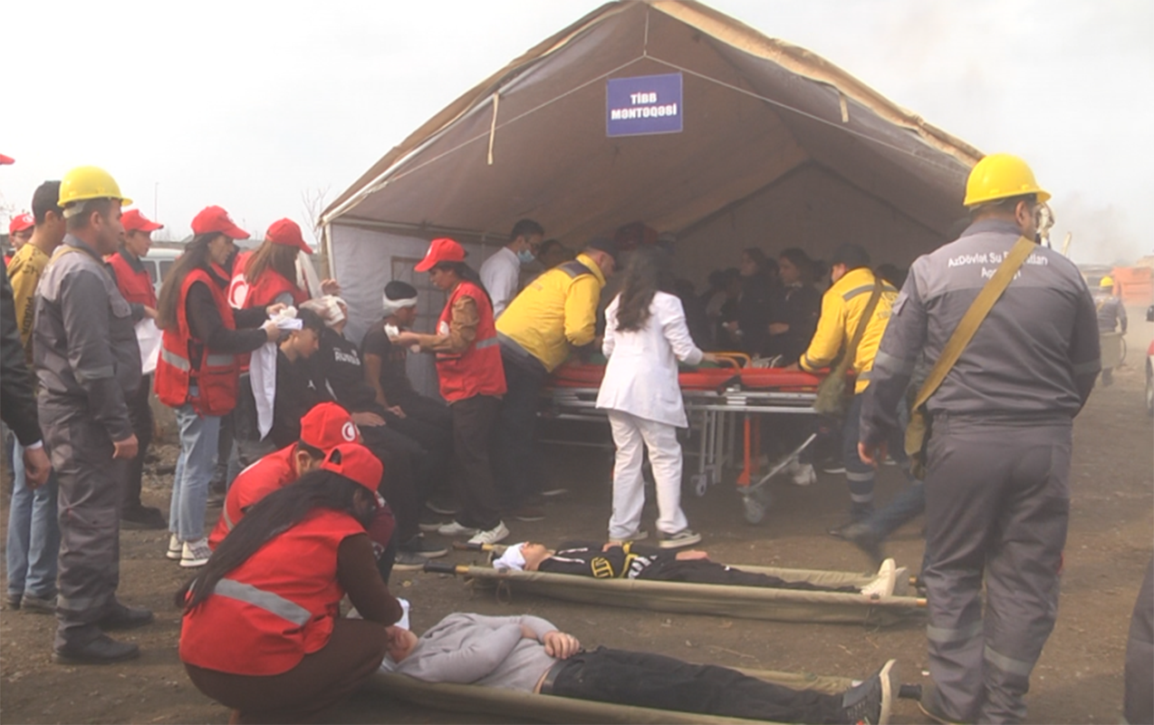 fhn-telim-teskil-etdi