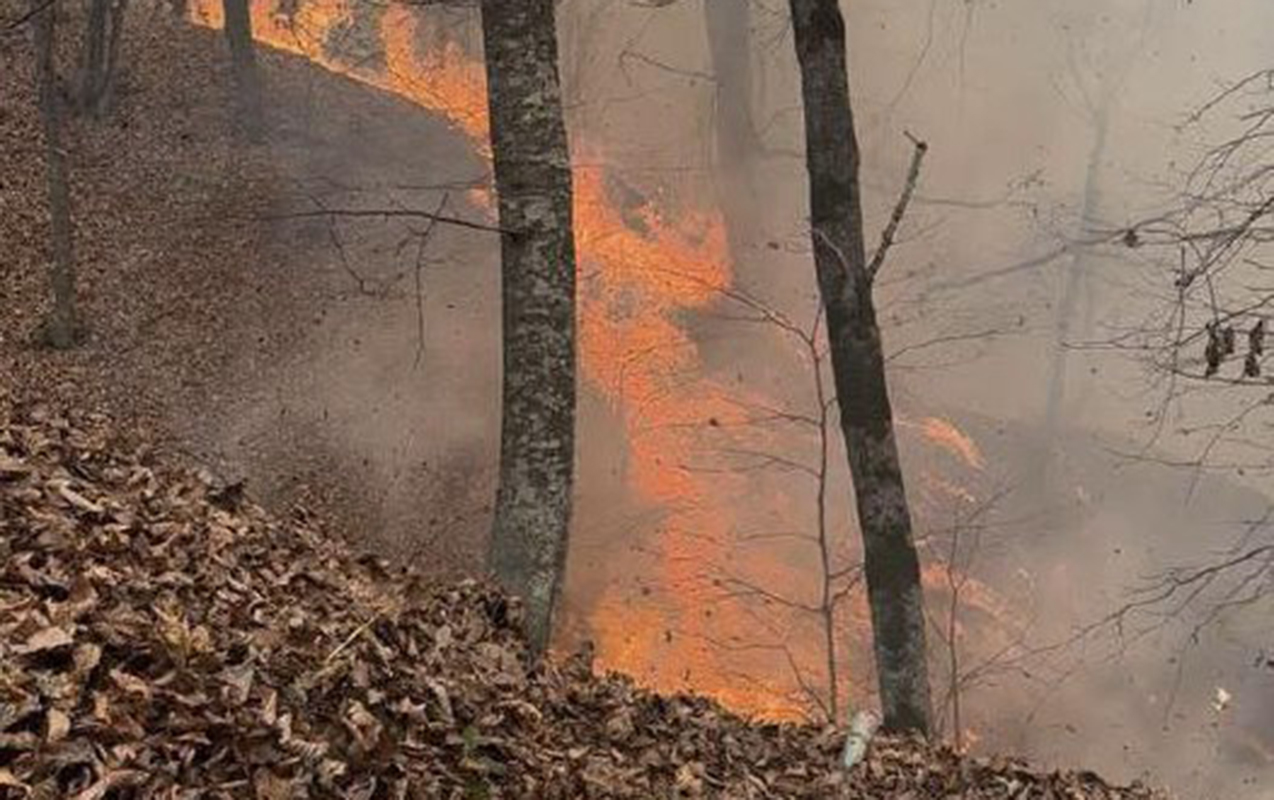 Ermənistandakı yanğınlar davam edir  - Video  