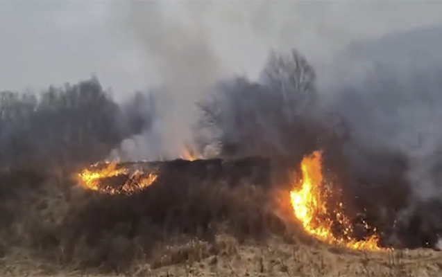 Yanğınlara helikopterlər cəlb olundu  - Video  