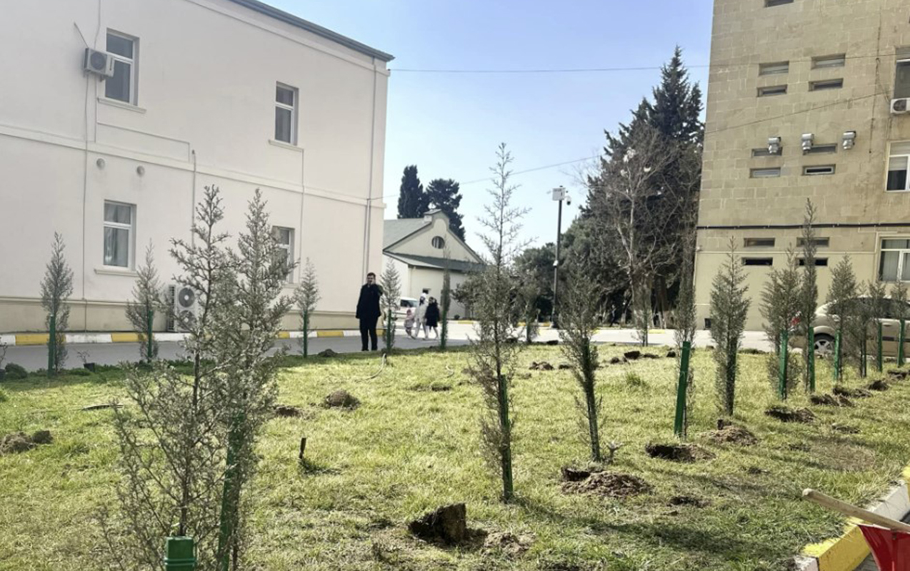 sabuncu-xestexanasinin-heyetinde-6-ayliq-dol-tapildi