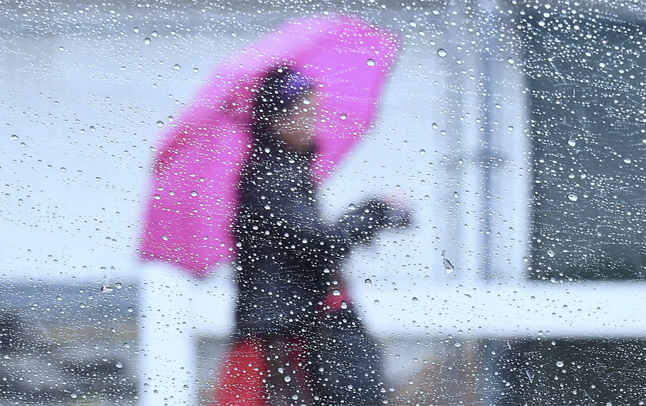 sabah-da-yagis-yagacaq