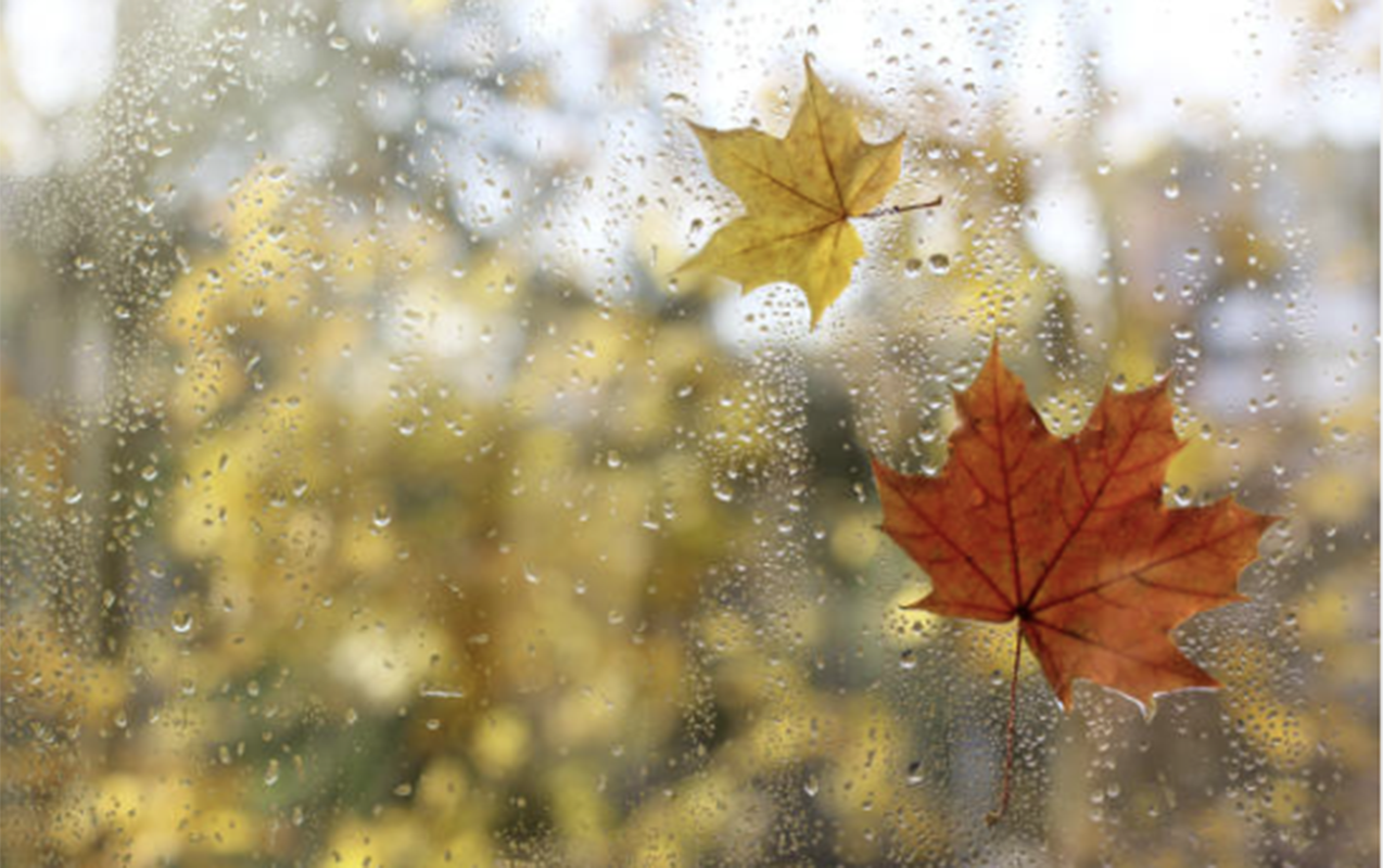 sabah-da-yagis-yagacaq