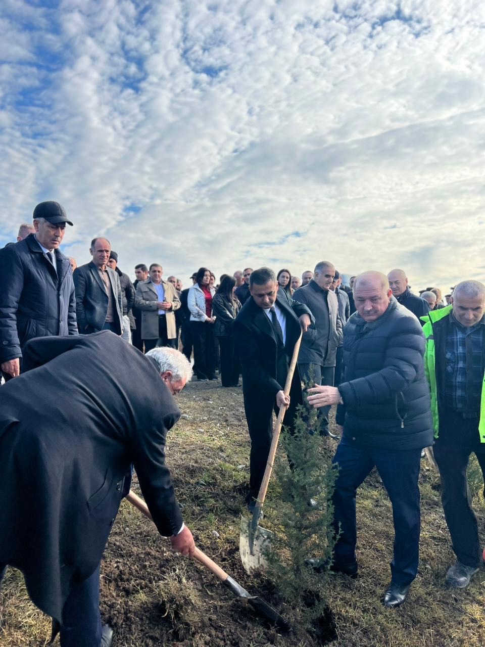 beyleqanda-agacekme-aksiyasi-kecirildi