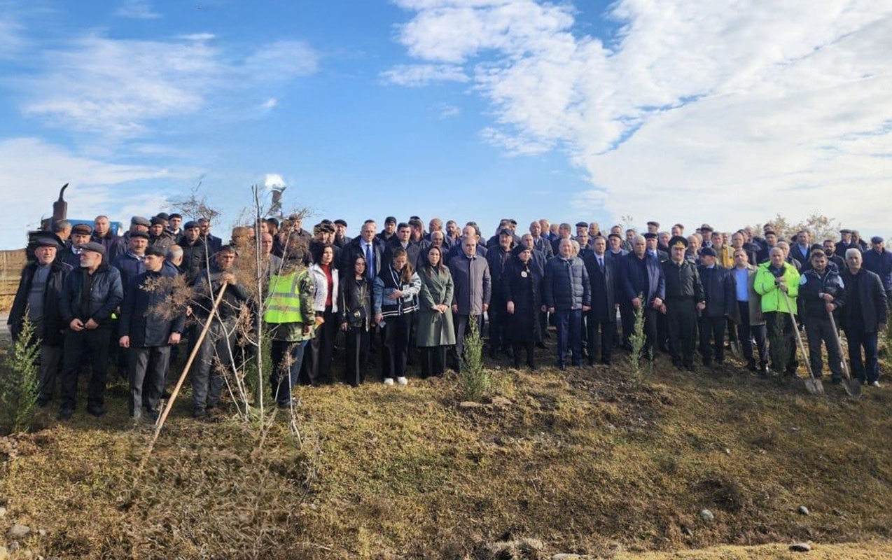 beyleqanda-agacekme-aksiyasi-kecirildi