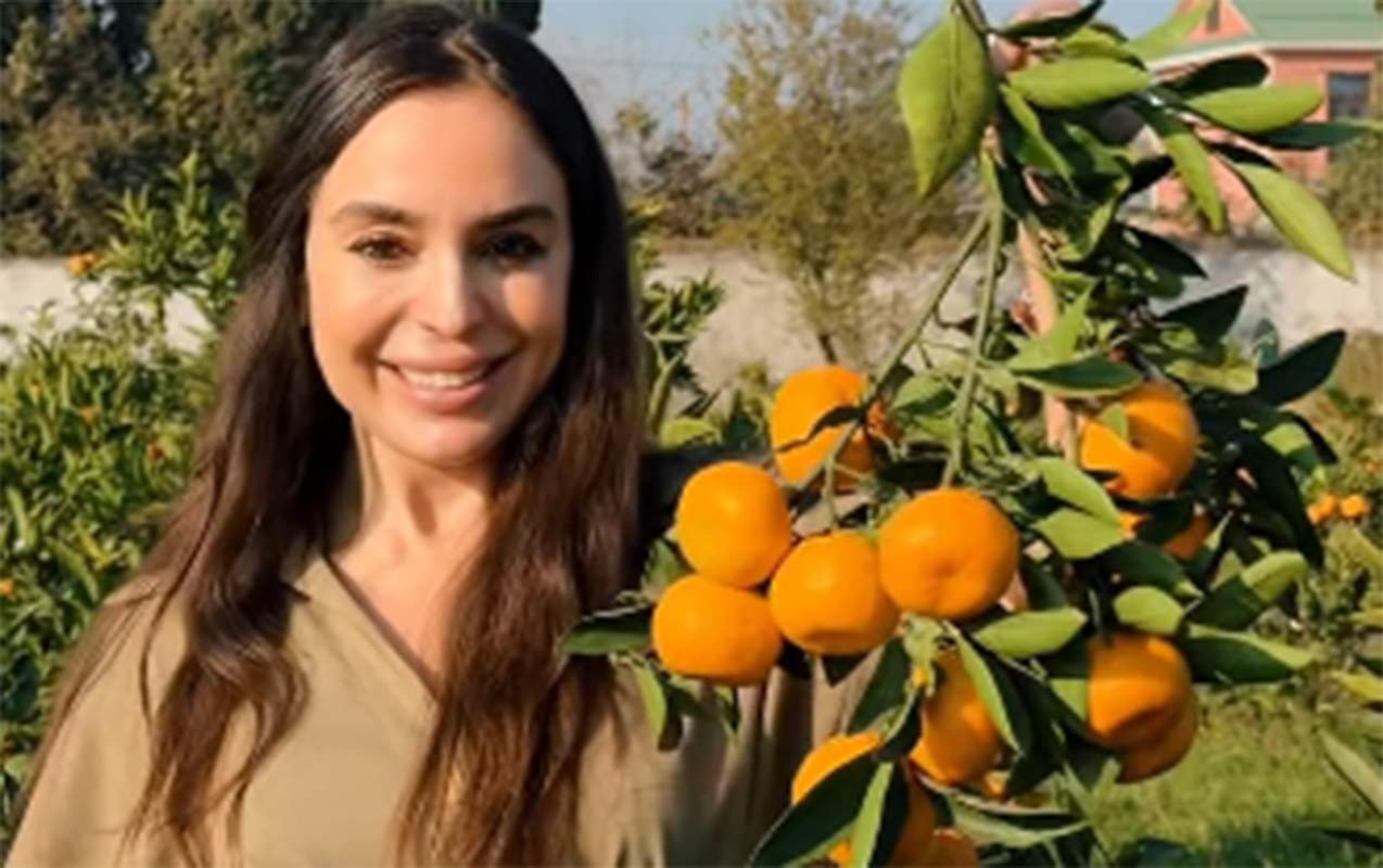 leyla-eliyeva-lenkerandan-paylasim-etdi