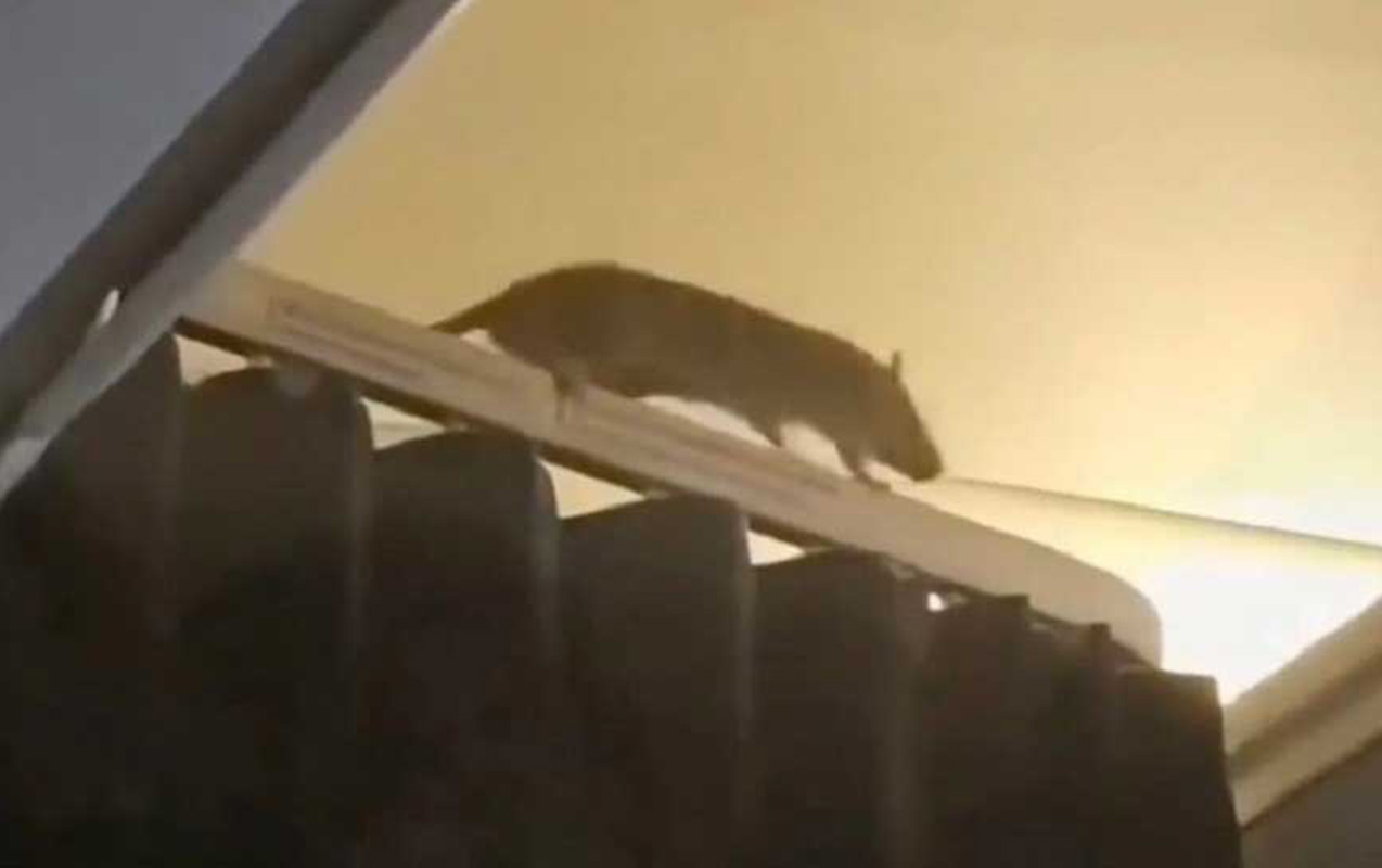 teyyareye-sican-girdi-36-saat-axtardilar