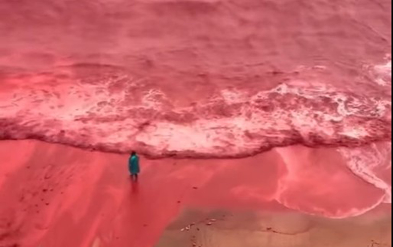 guclu-yagisdan-sonra-deniz-qirmiziya-boyandi