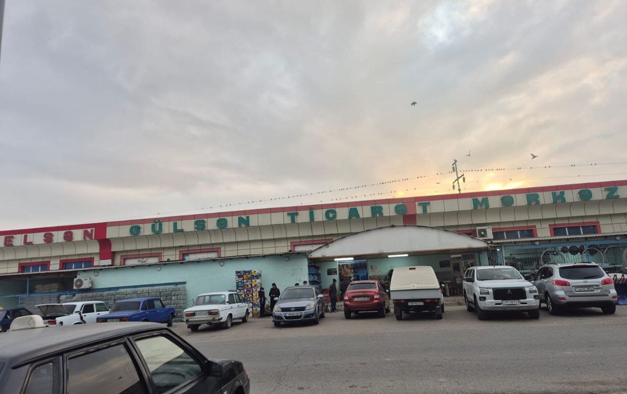 elsen-gulsende-bu-noqsanlar-askarlandi