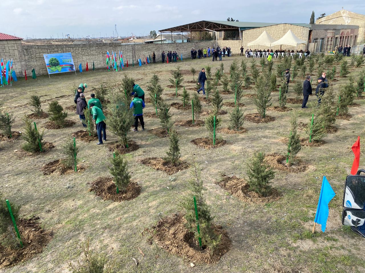 xezer-rayonunda-novbeti-agacekme-aksiyasi