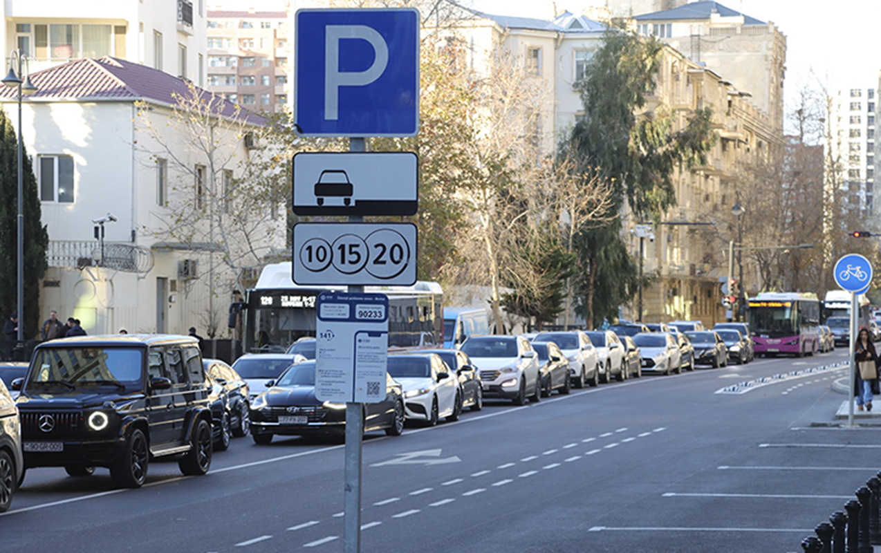 ayna-nin-odenisli-parklanmasi-huquqi-bosluqlardan-biridir