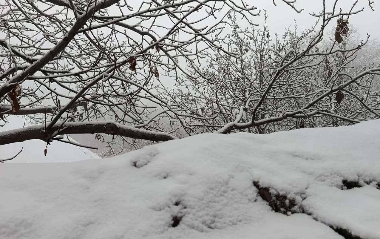 naxcivanda-qarin-hundurluyu-35-santimetre-catdi