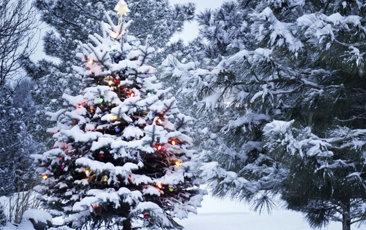 ilin-son-gunu-hava-nece-olacaq