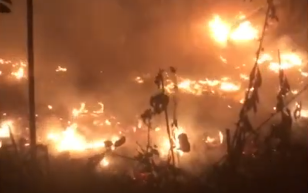 bakida-agacliq-sahede-yangin-bas-verib