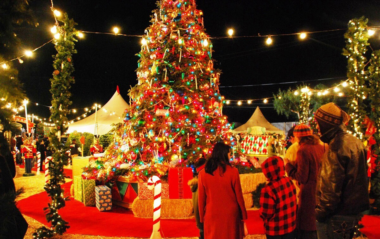 ilin-son-deqiqelerinde-neler-ede-bilerik