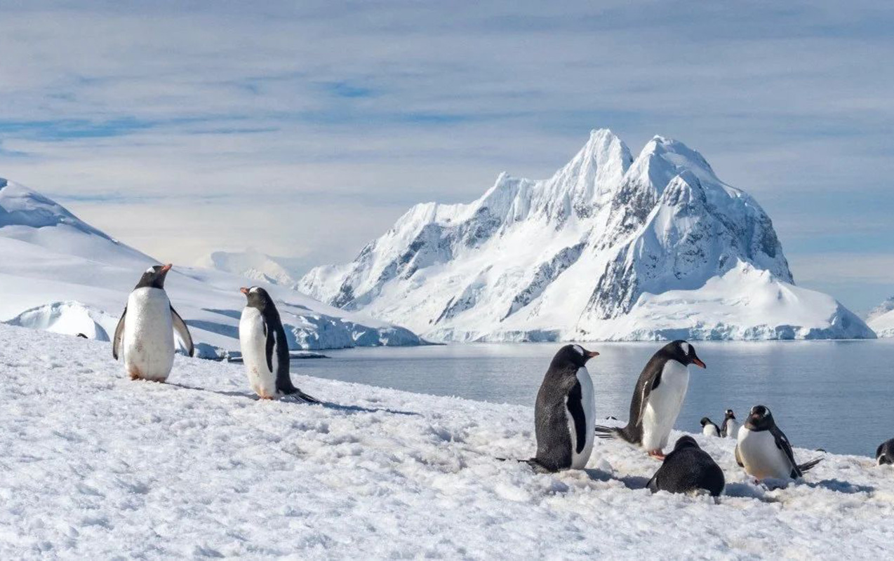 antarktidada-iten-robot-9-ay-sonra-qorxulu-melumatlarla-geri-dondu