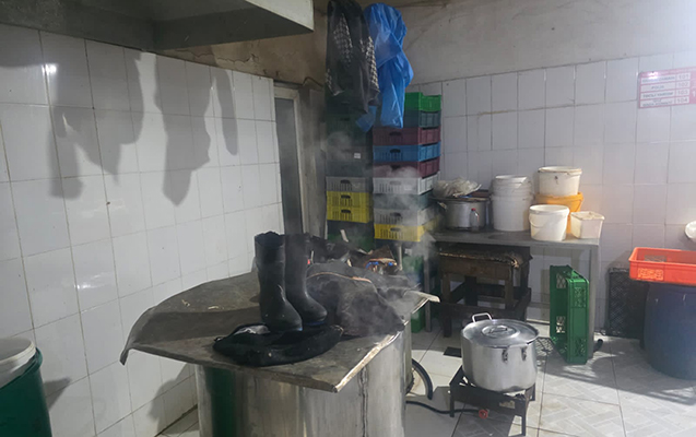 toyuq-etini-bu-seraitde-istehsal-edirlermis